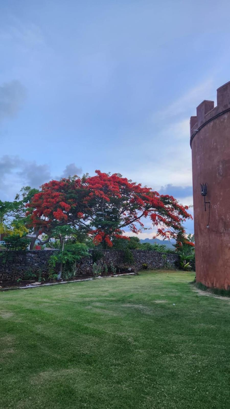 El Castillo Las Galeras Dış mekan fotoğraf